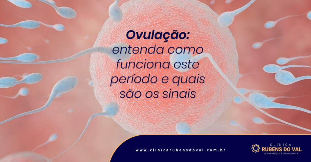 Ovulação: entenda como funciona este período e quais são os sinais -  Clínica Rubens do Val CRM 58764