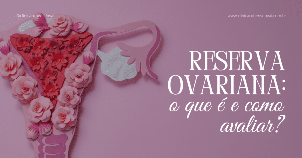 Reserva ovariana: o que é e como avaliar? 1 Ilustração do útero e ovários em tons de rosa, decorados com flores, simbolizando saúde reprodutiva feminina e fertilidade.