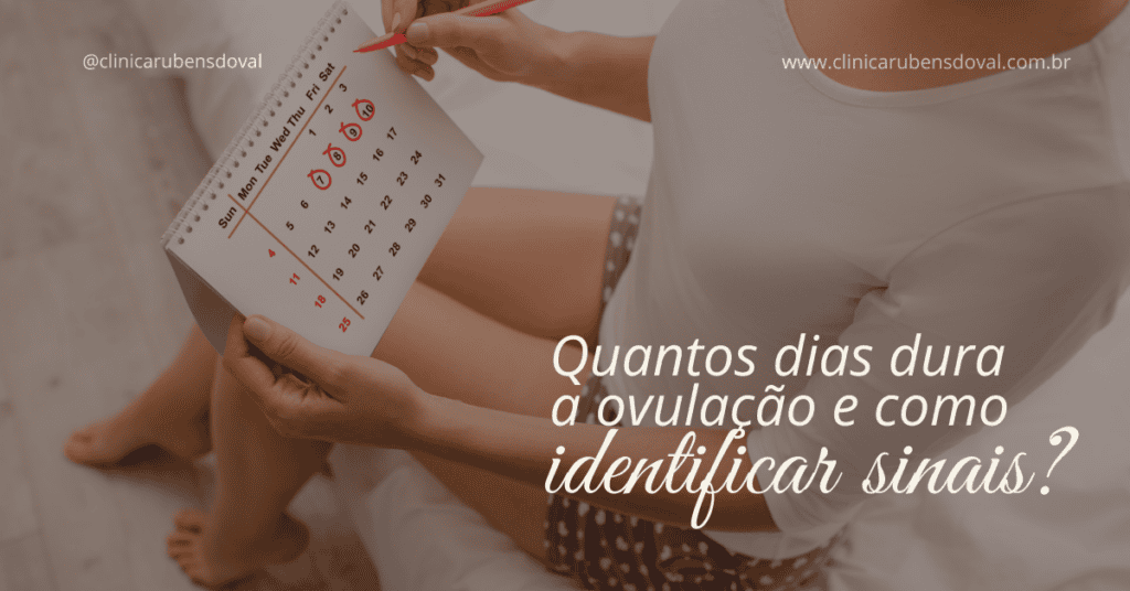 Quantos dias dura a ovulação e como identificar sinais? 1 Arte sobre duração da ovulação e sinais do período fértil